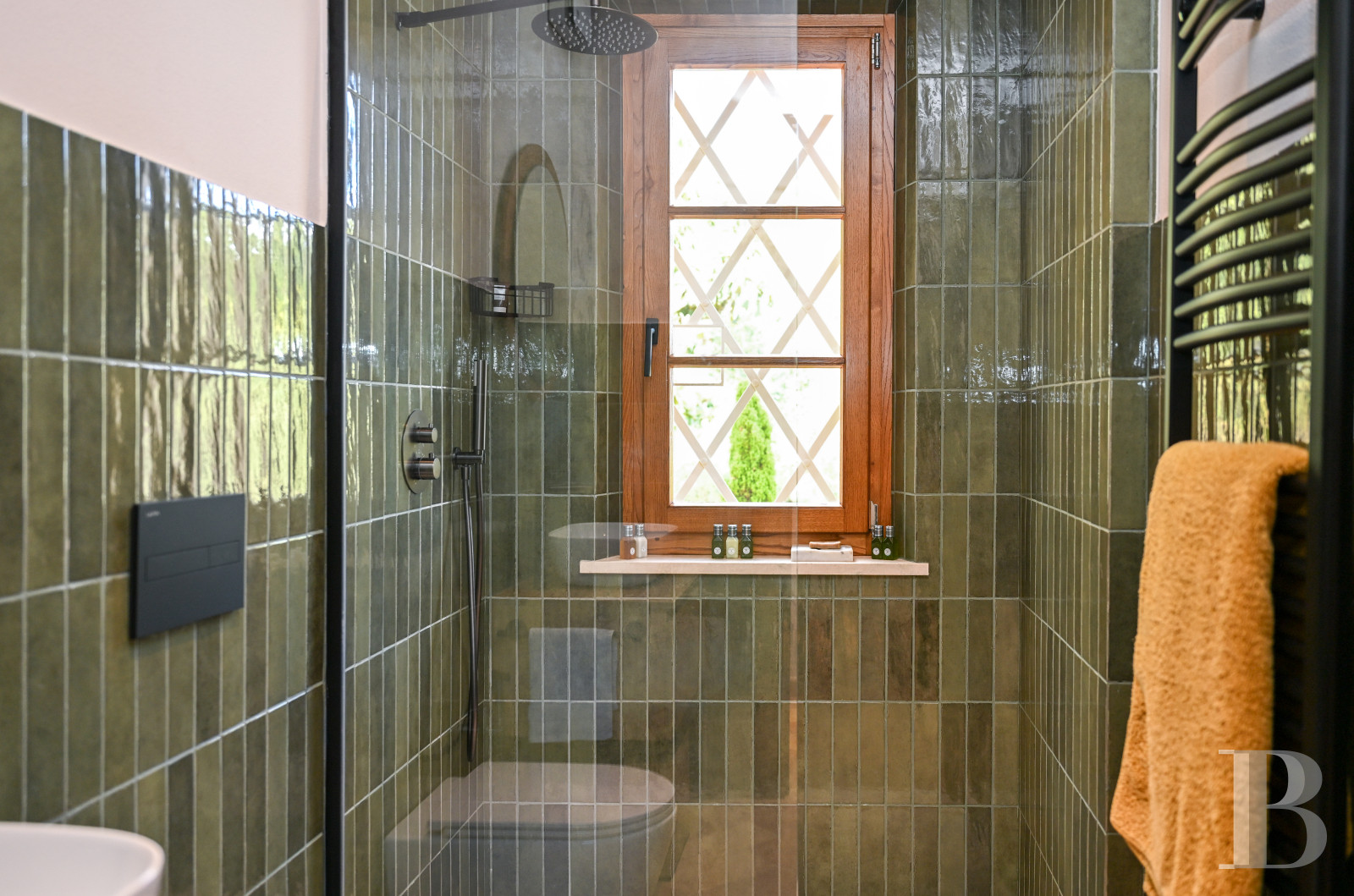 En Toscane, près de Pietrasanta, sur la côte méditerranéenne,  une maison sur les hauteurs au milieu de son oliveraie - photo  n°14